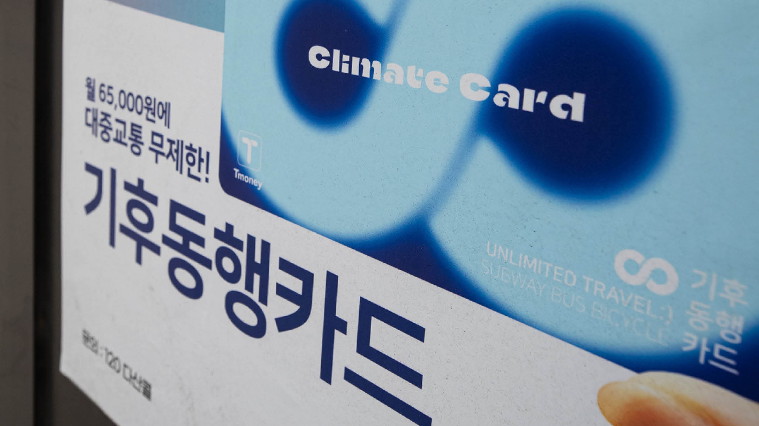 나에게 딱 맞는 교통카드는? 🚌