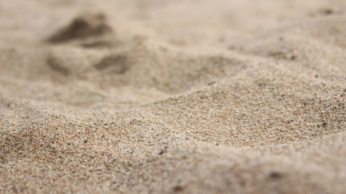 바다의 모래를 빼먹네 🌊