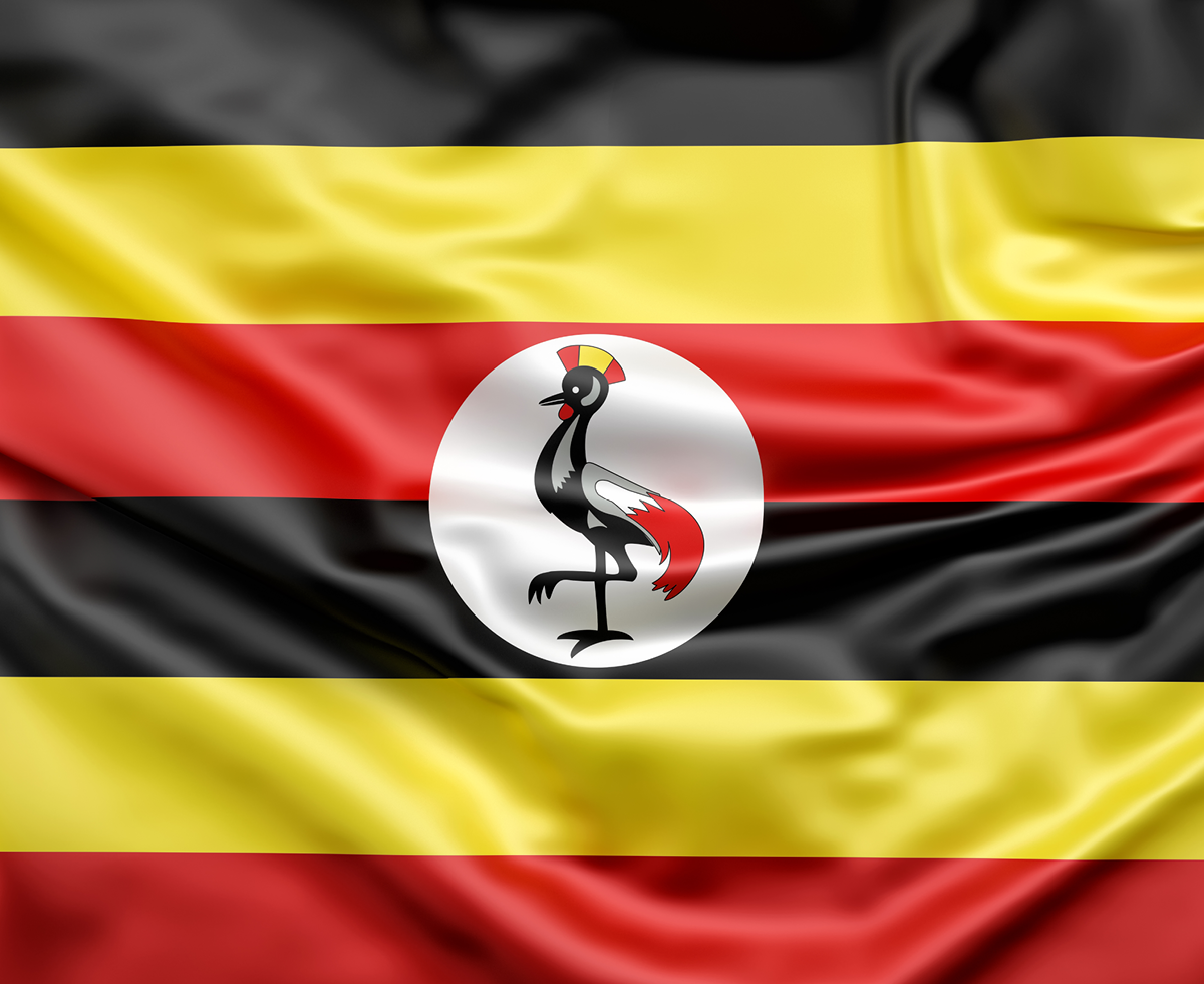 우간다: 성소수자 금지할게  🇺🇬