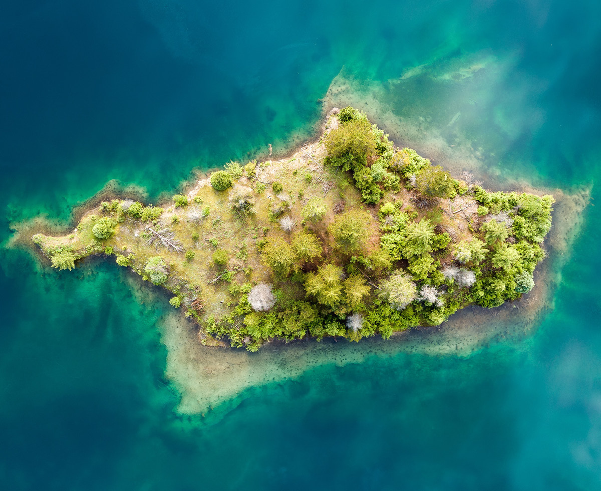 기후위기가 언어를 없애는 방법 🙊