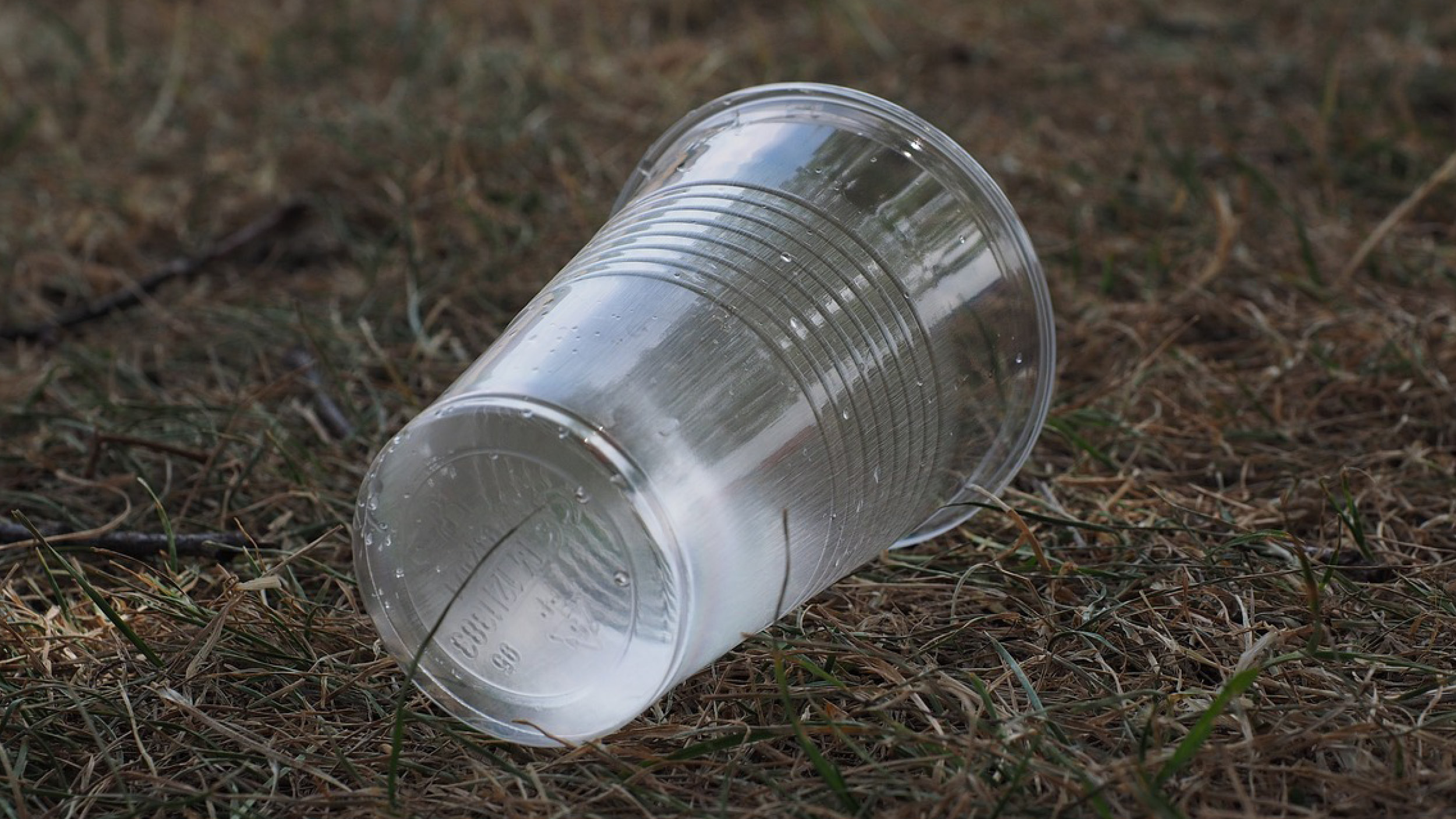 이제 와서 안 한다고요? 🥤