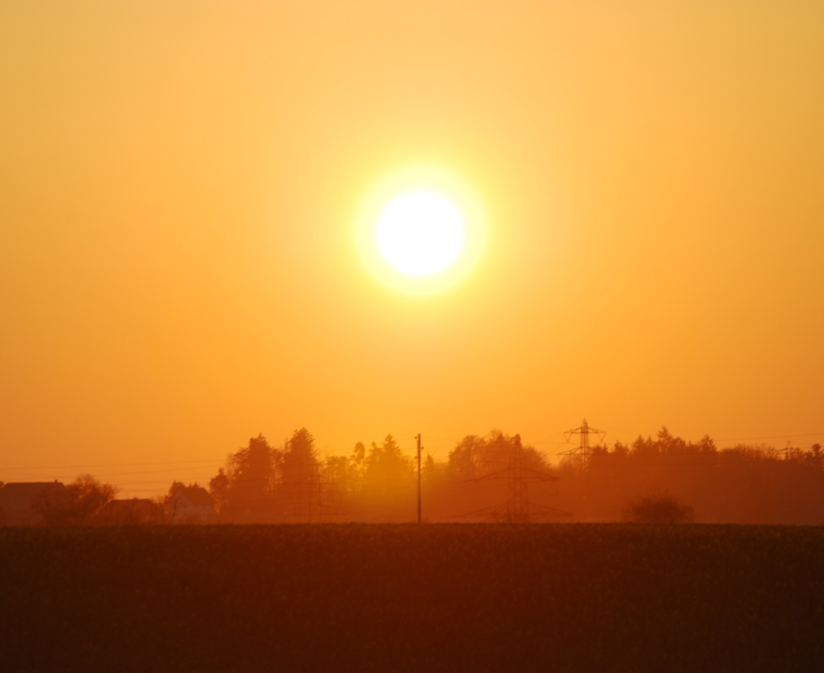 더위가 재난이 될 때 🥵
