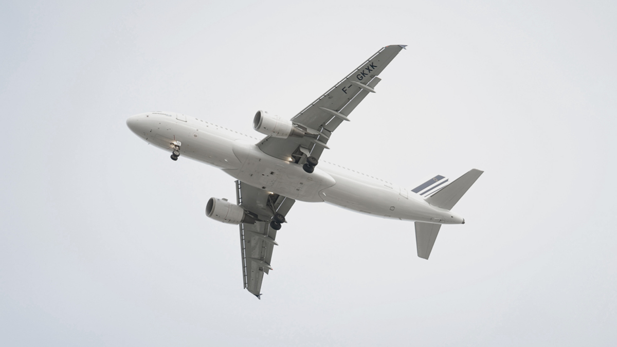 이스라엘 떠나는 한국 교민들 ✈️