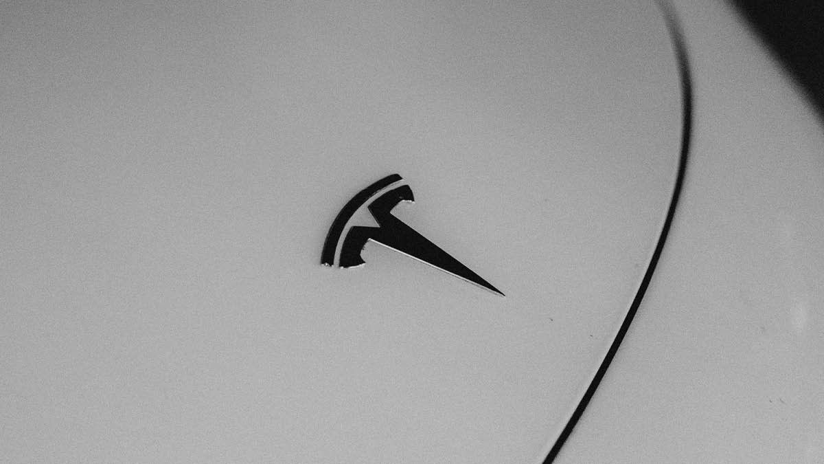 환경단체: “테슬라가 환경을 망치고 있어!”