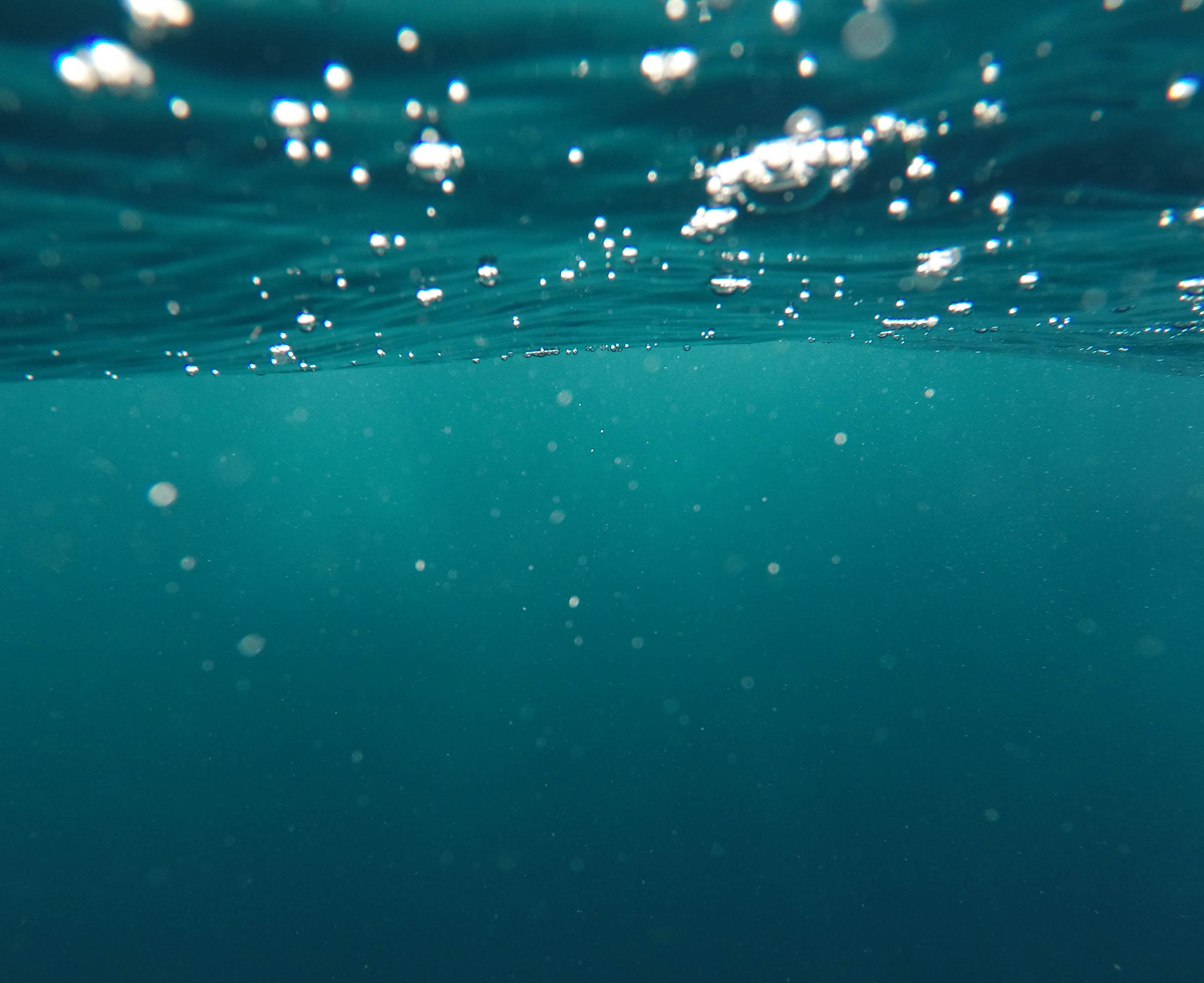 이산화탄소 많으면? 묻는다 🌊