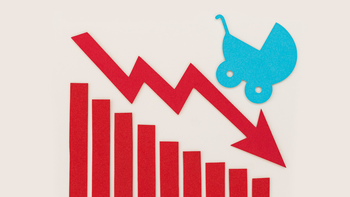 50년 뒤 한국 인구 = 역삼각형 그 잡채 🔻