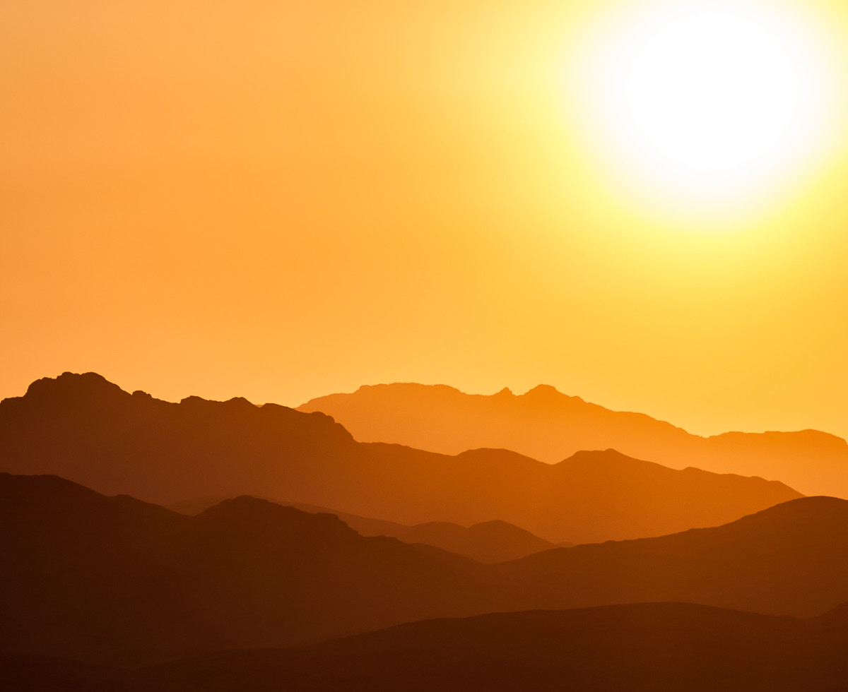 전 세계 기록적인 폭염 🌡️