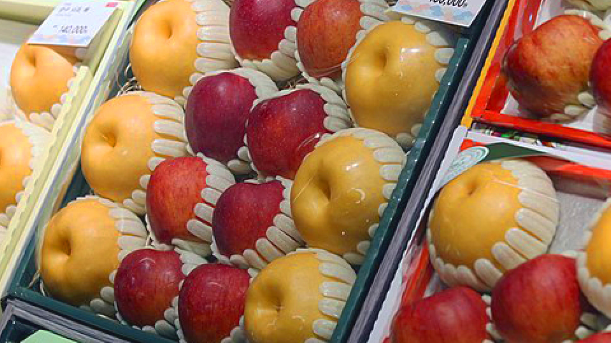 추석 선물 살 때 주의 어때 🎁