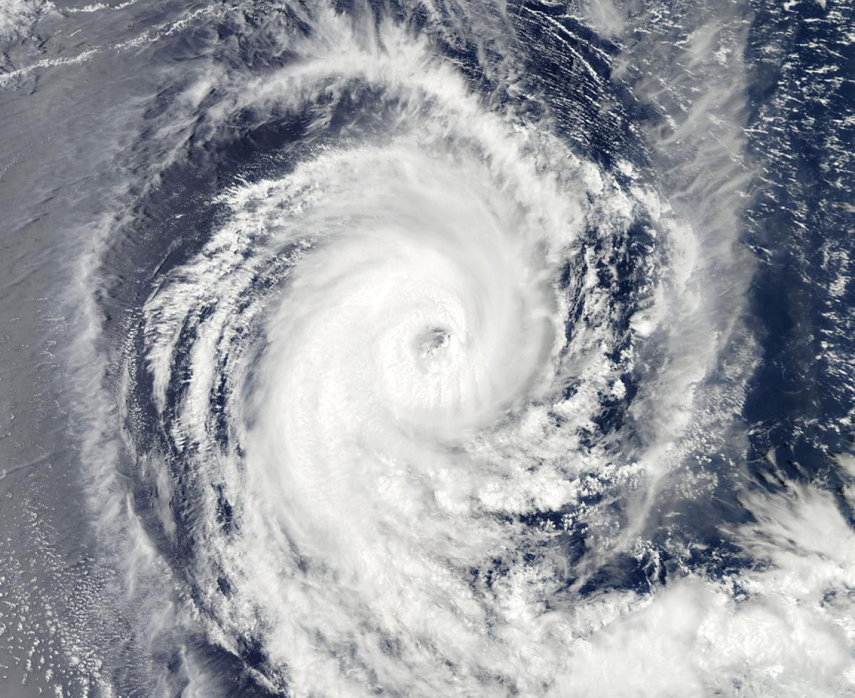 탈림 영향 얼마나 받을까 🌀