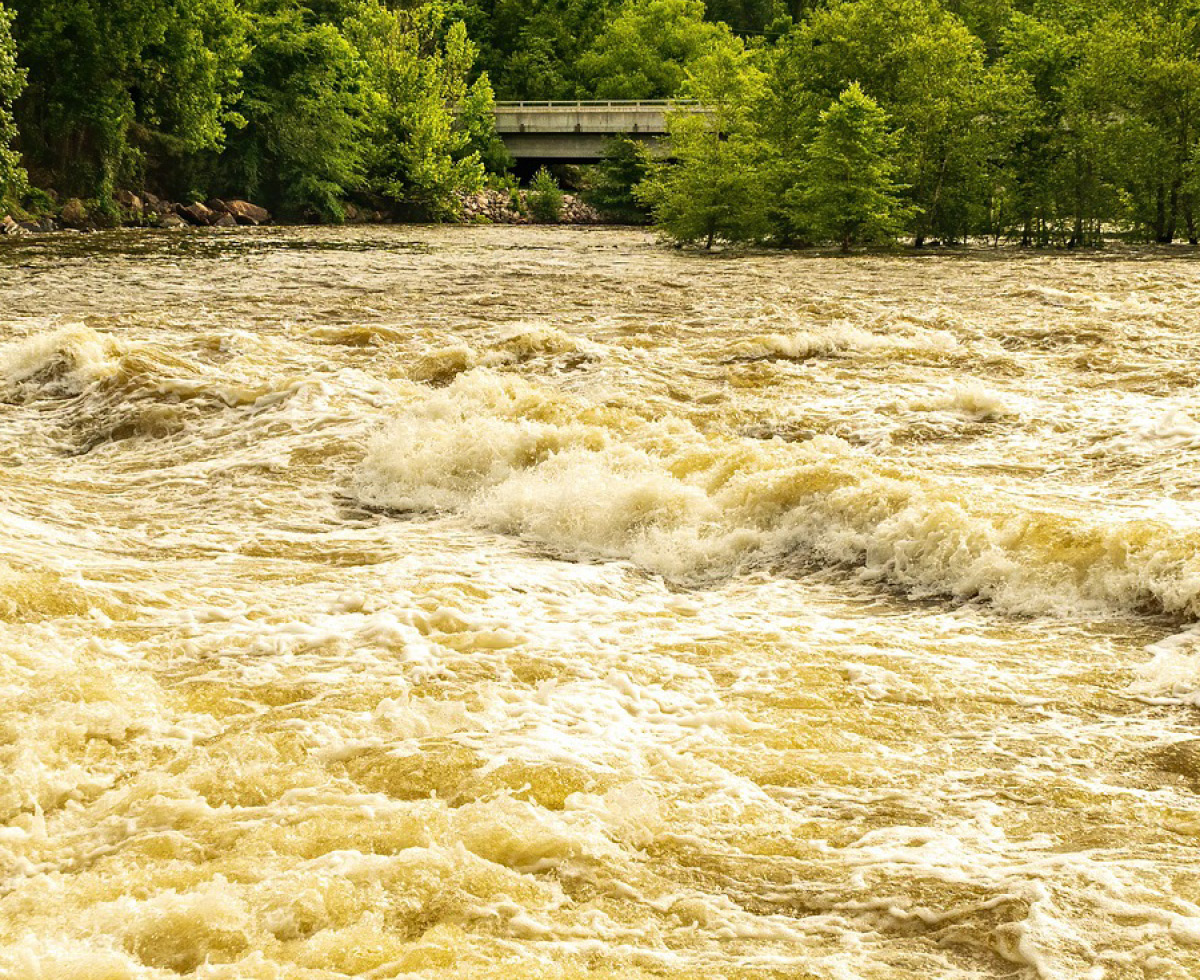 수해 현장 수색 해병대원 사망