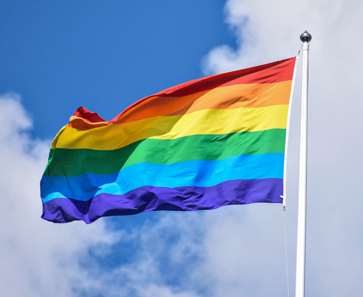 일본, 성소수자를 위한 법 🇯🇵