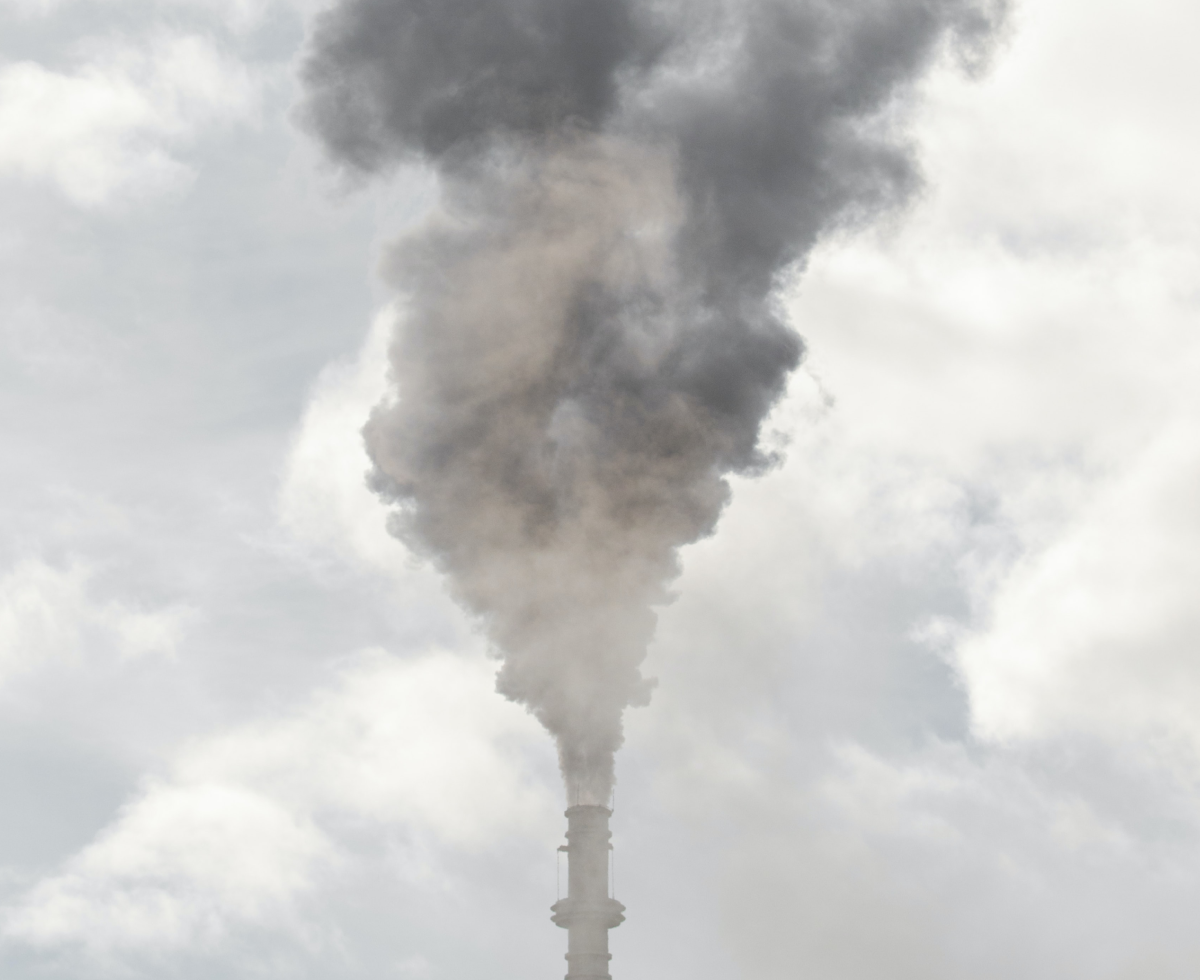 역사상 석탄 발전을 가장 많이 한 해는? 🏭