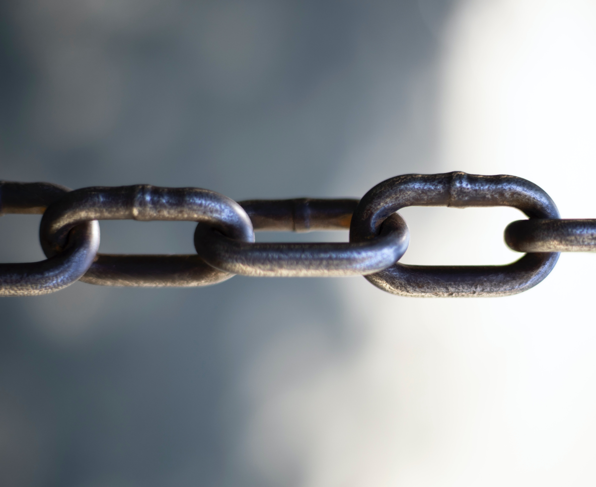 네덜란드: 노예제, 잘못했습니다 🇳🇱