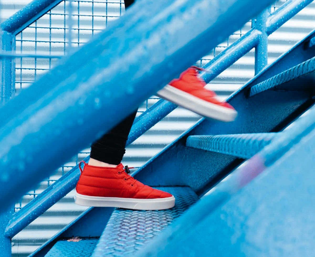 기준금리 인상X7 📈