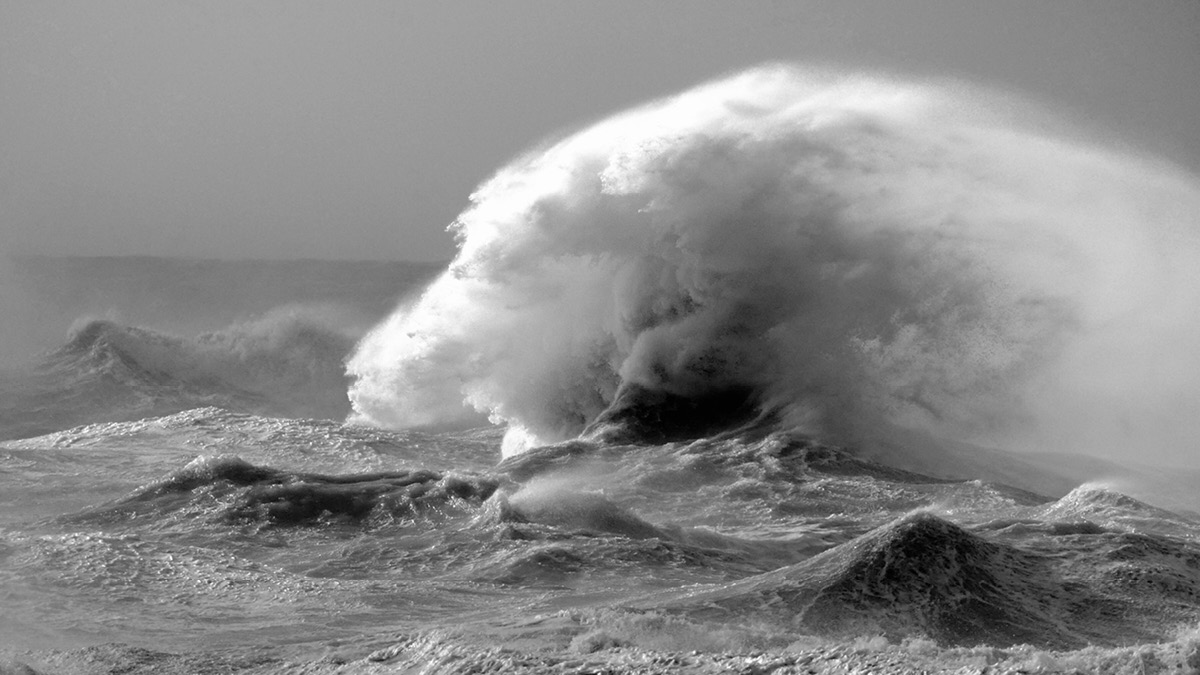 일본 강진의 여파