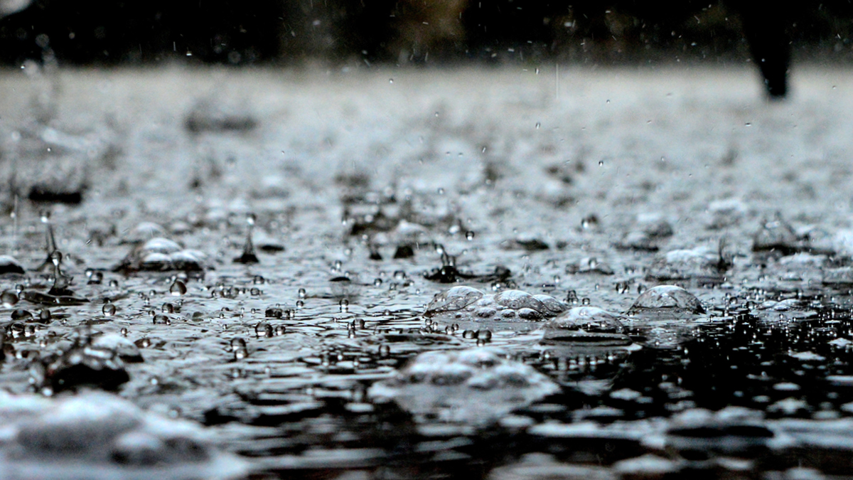 장마, 태풍, 그리고 꺾이지 않는 더위 ☔