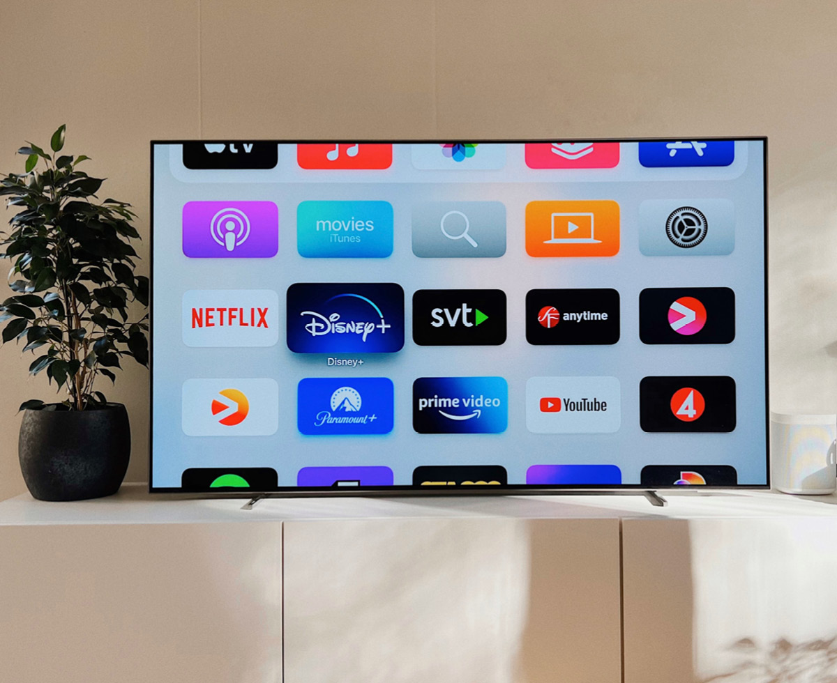 OTT: 이건 15세 이용가로 할게요 🎬