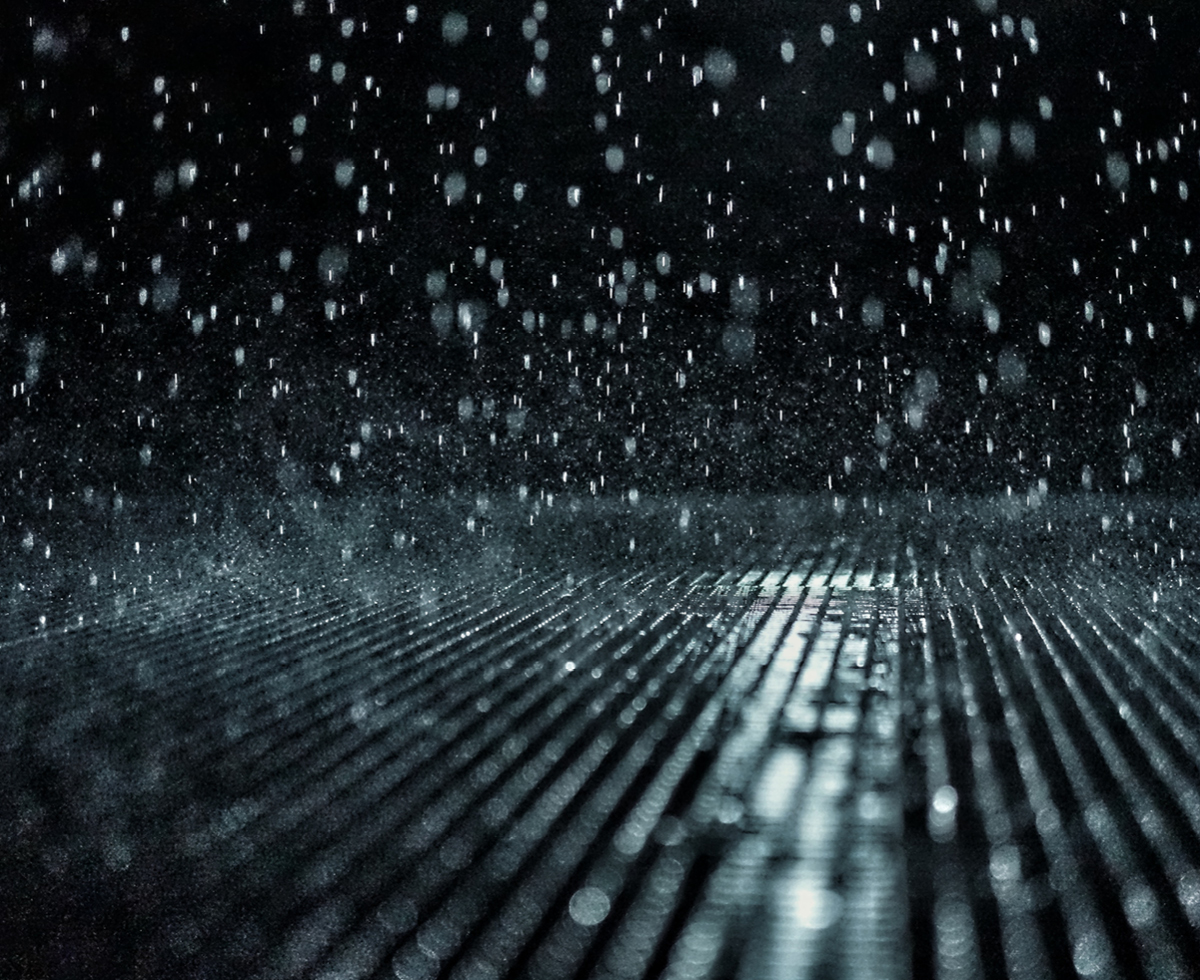 장마 시작, 다들 괜찮아? 🌧️