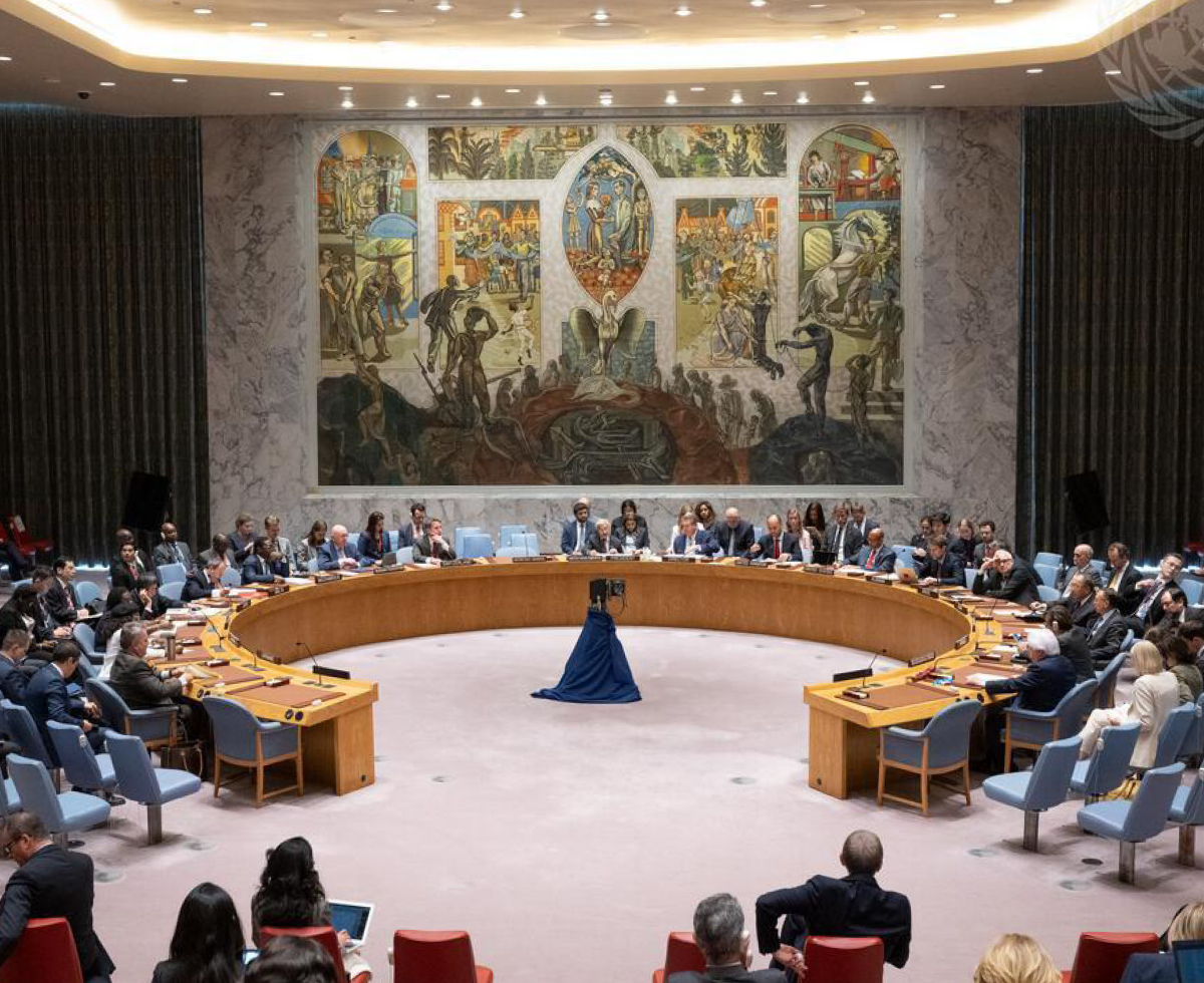 🇰🇷: “나 안보리 멤버 됐어!”