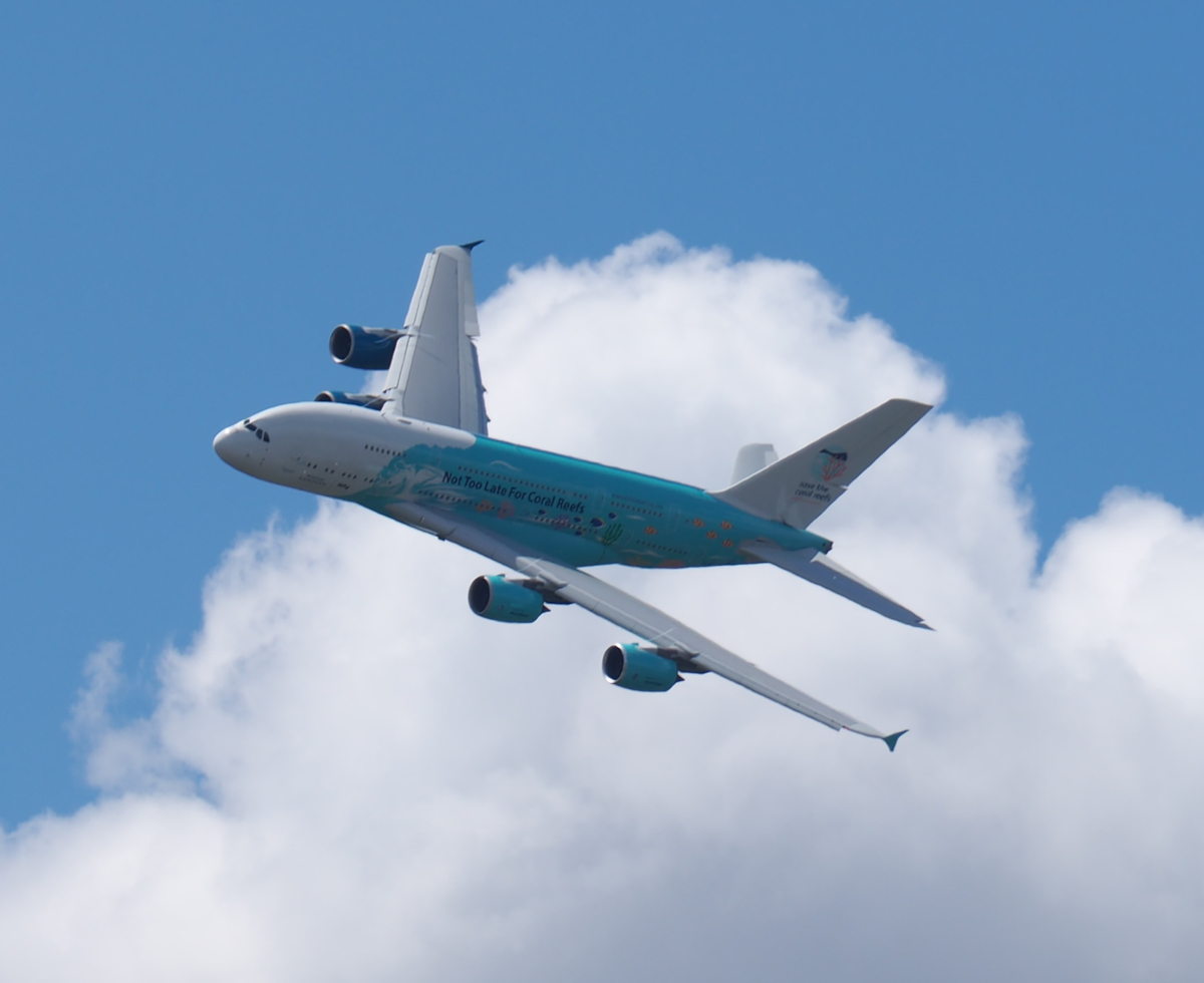 중국 관광객 한국 온다 ✈️