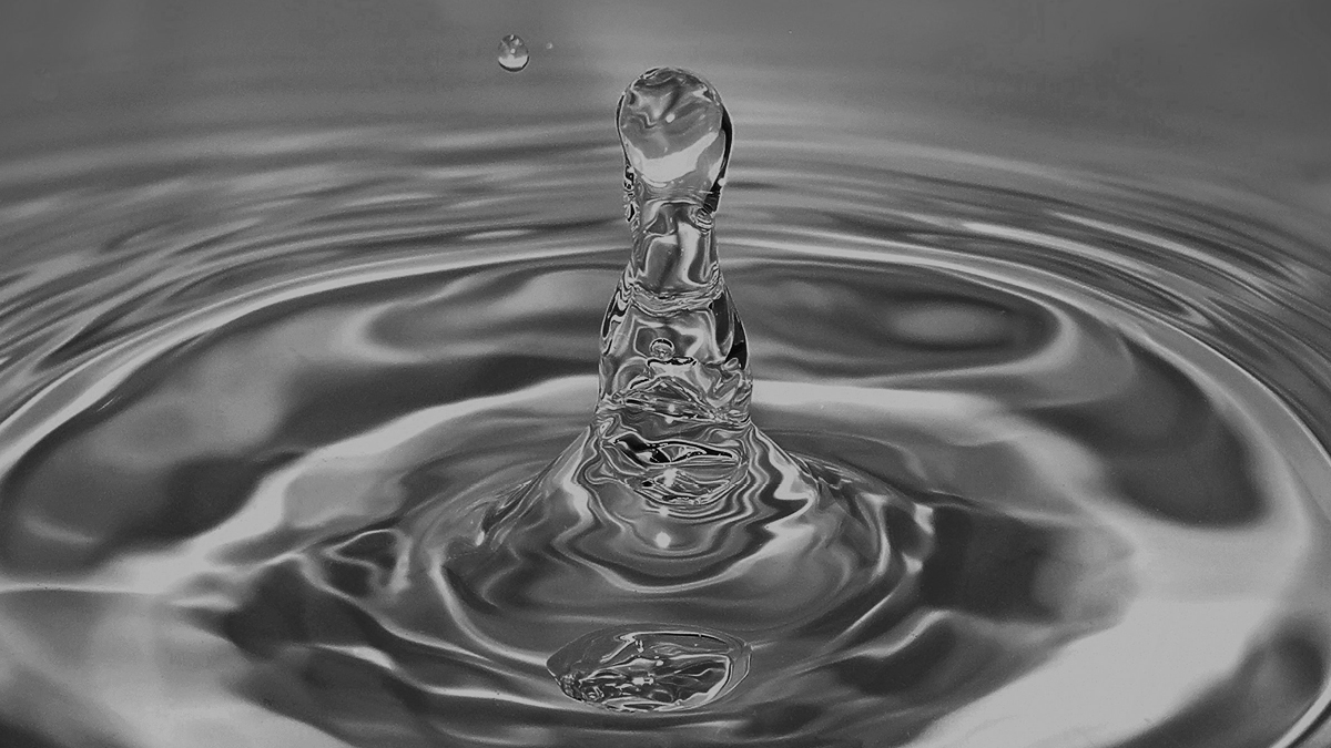 요소수 대란 again? 💦