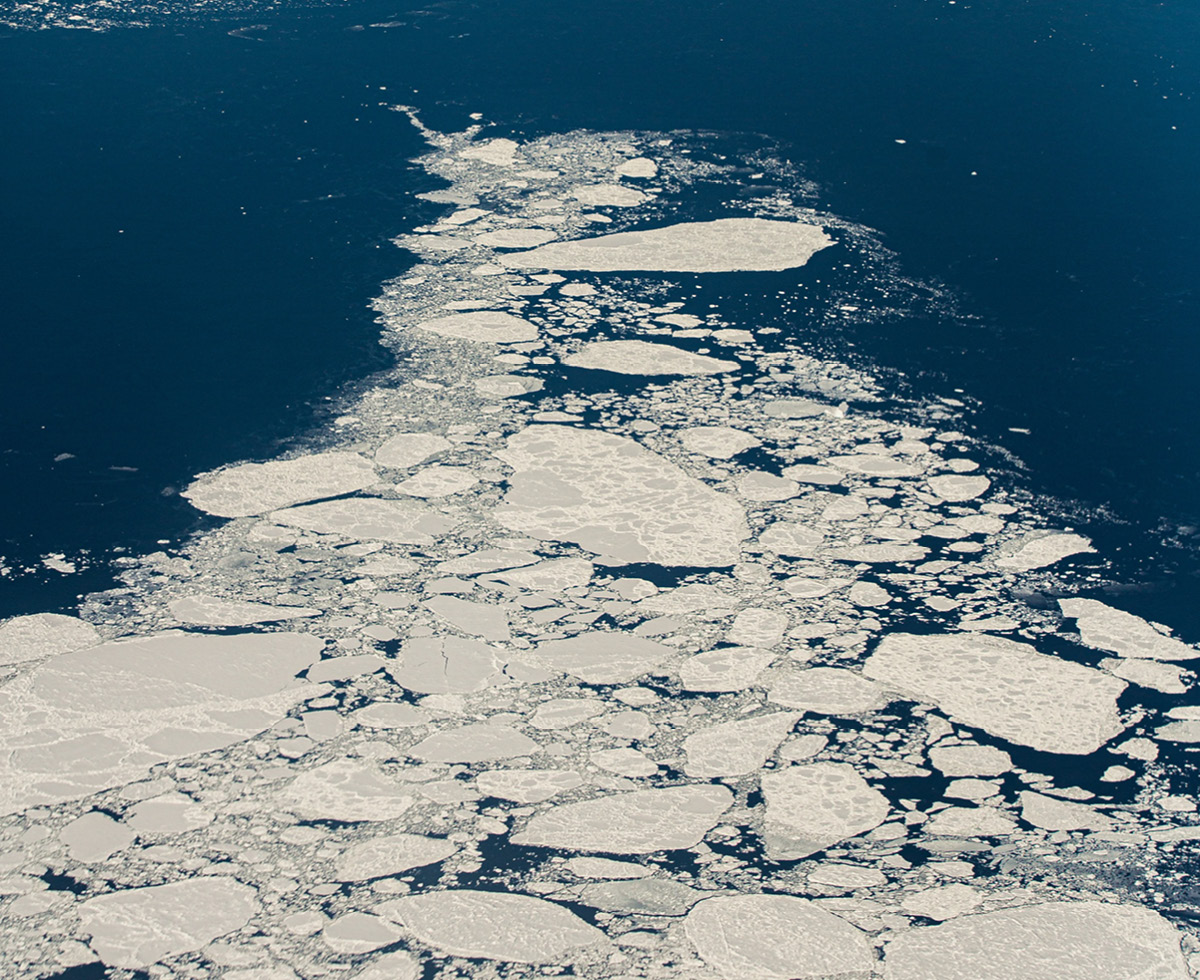 기후변화_보고서_최신_.pdf 🌏