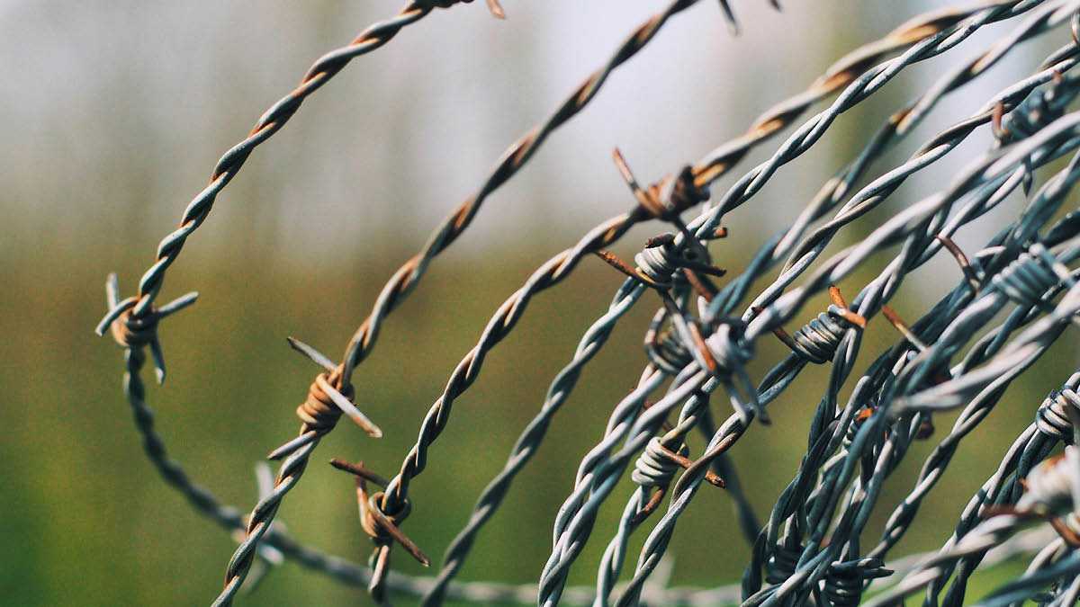 다시 라파 공격 예고한 이스라엘 🇮🇱