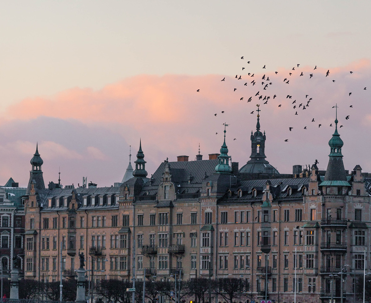 스웨덴 테러 위험 ⚠️