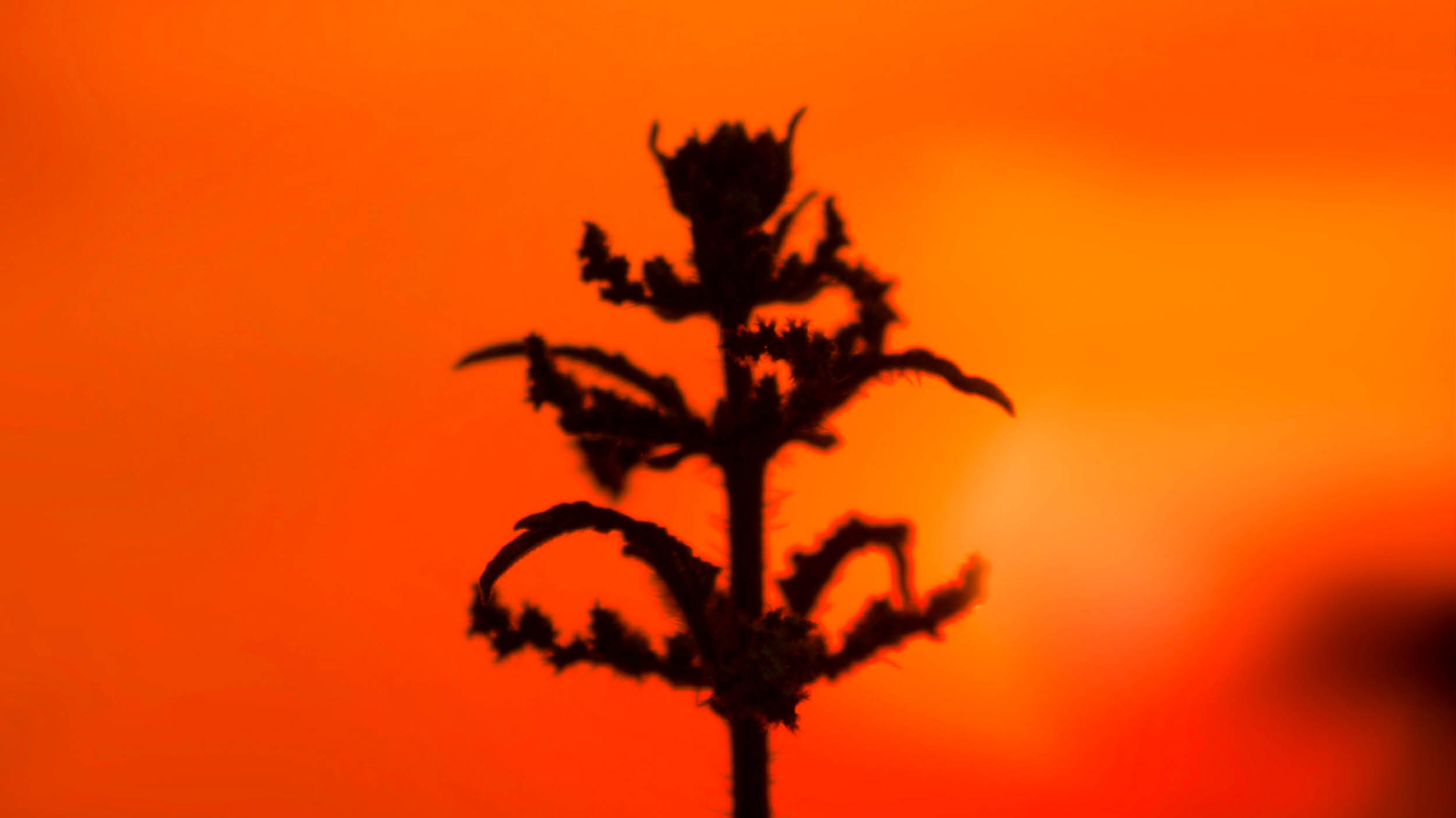 2023년, “역사상 가장 뜨거웠다” 🌡️