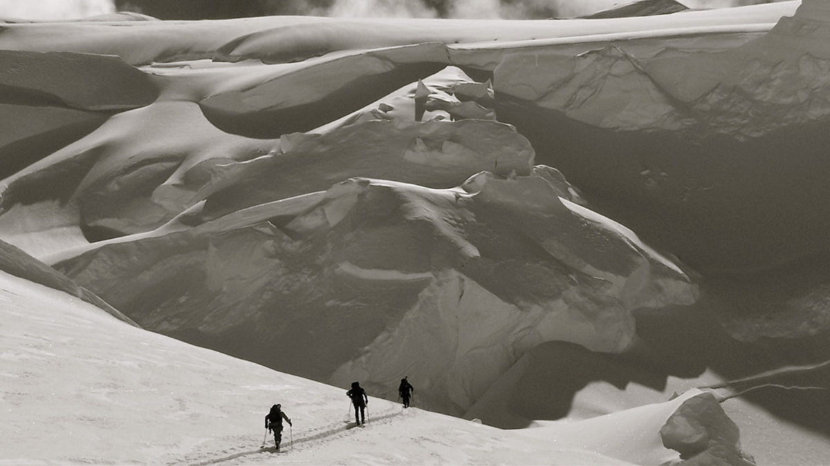 험지가 뭐길래 🗳️