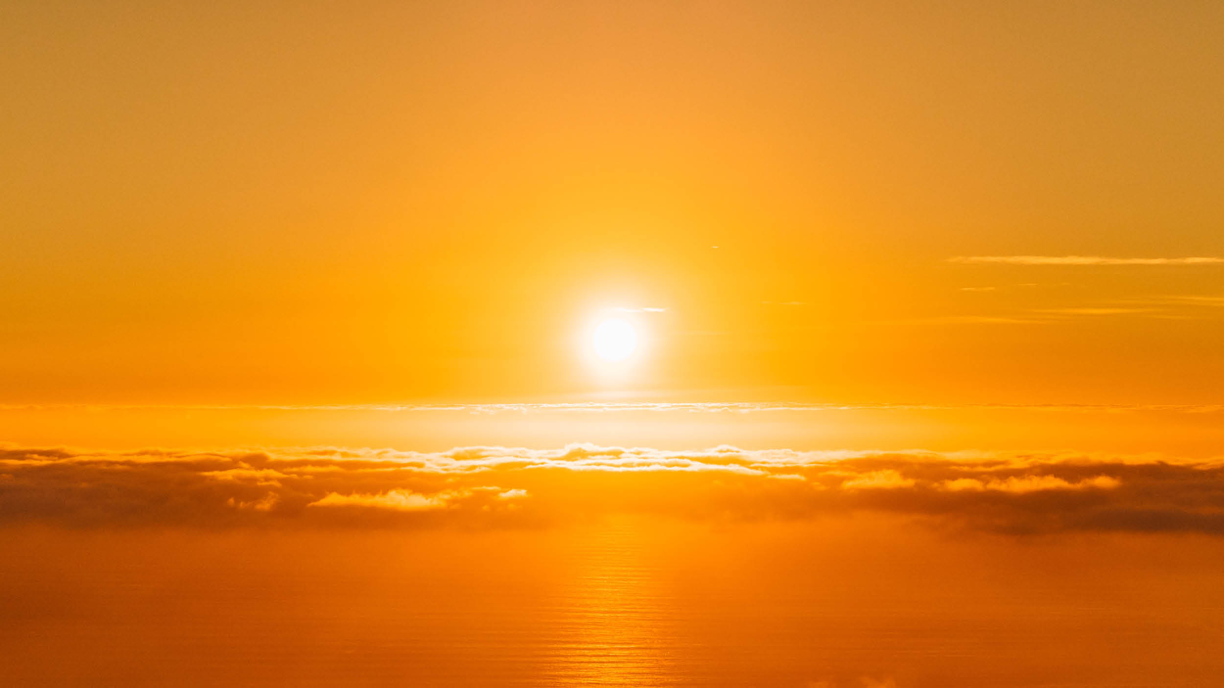 설날 민생 절대 지켜 💰