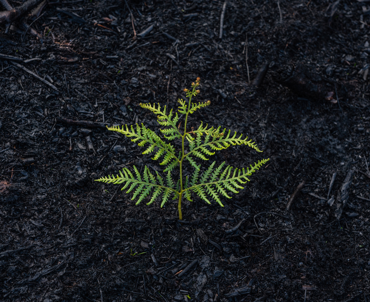 전쟁은 1년 반, 회복은 20년