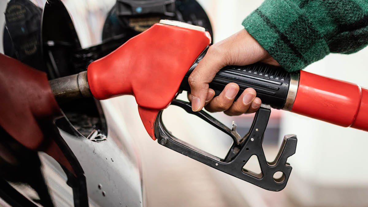 다시 한번 최고치 찍겠습니다 📈