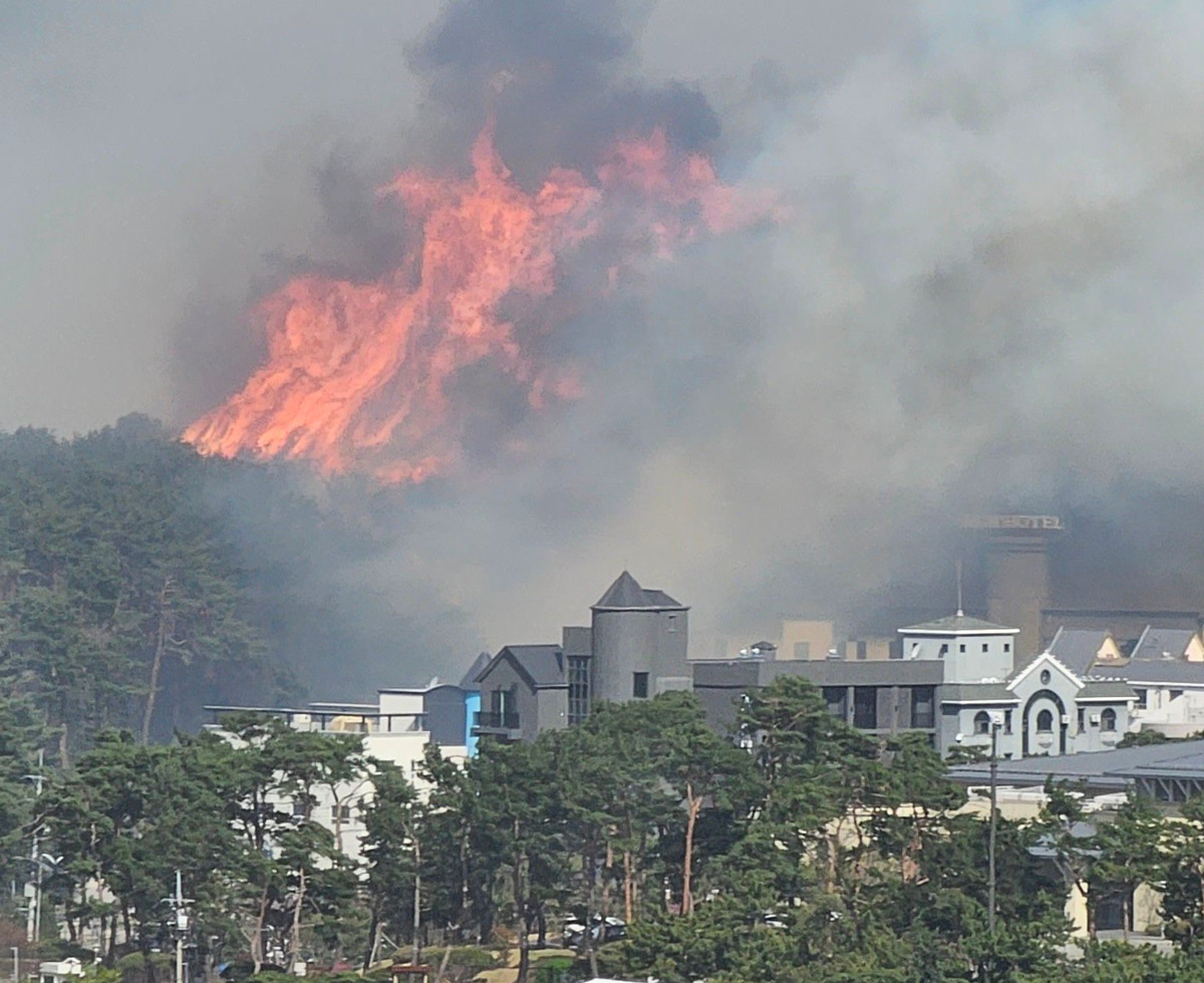 강릉에서 큰 산불