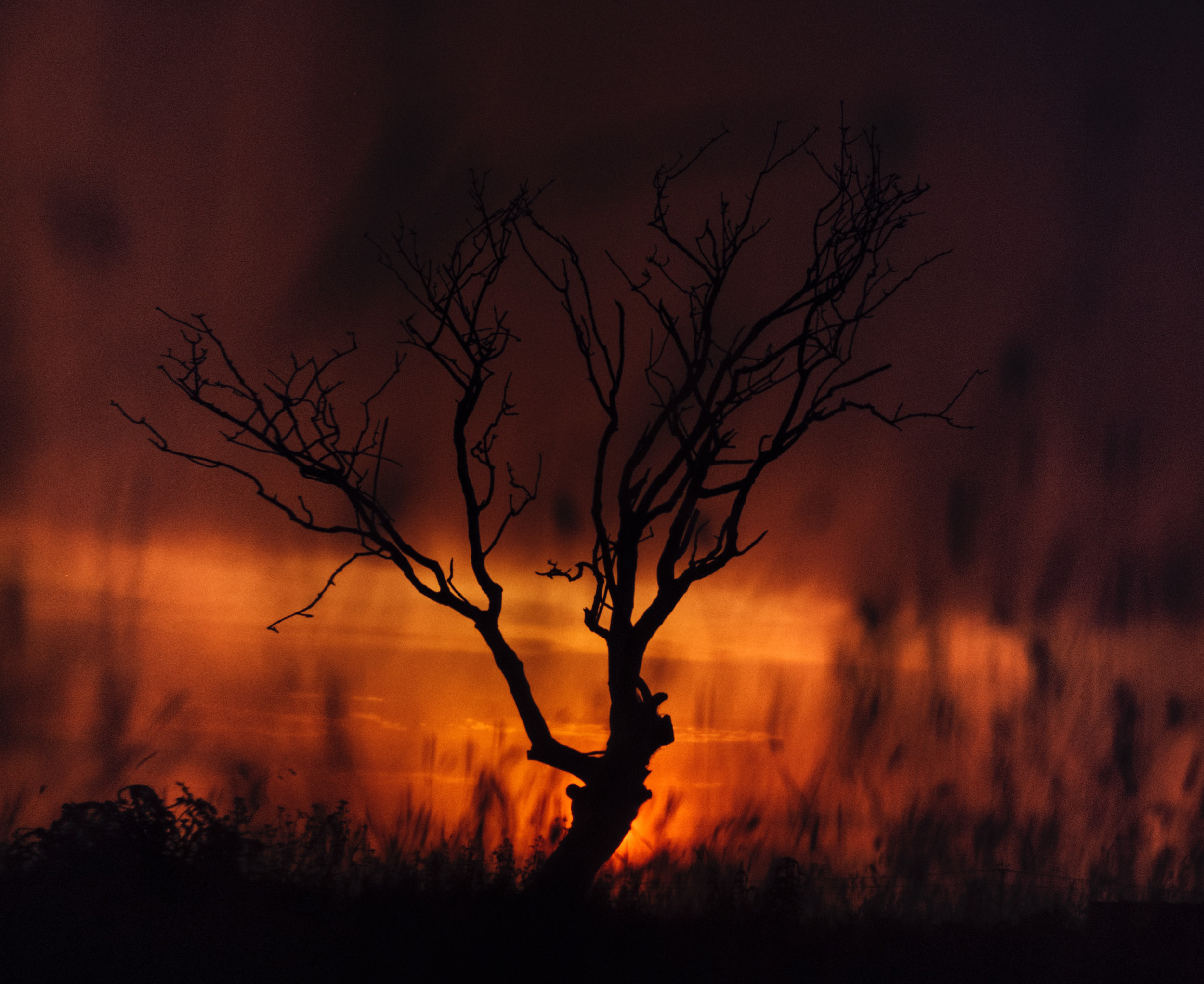 지구 역사에서 가장 더운 날은?