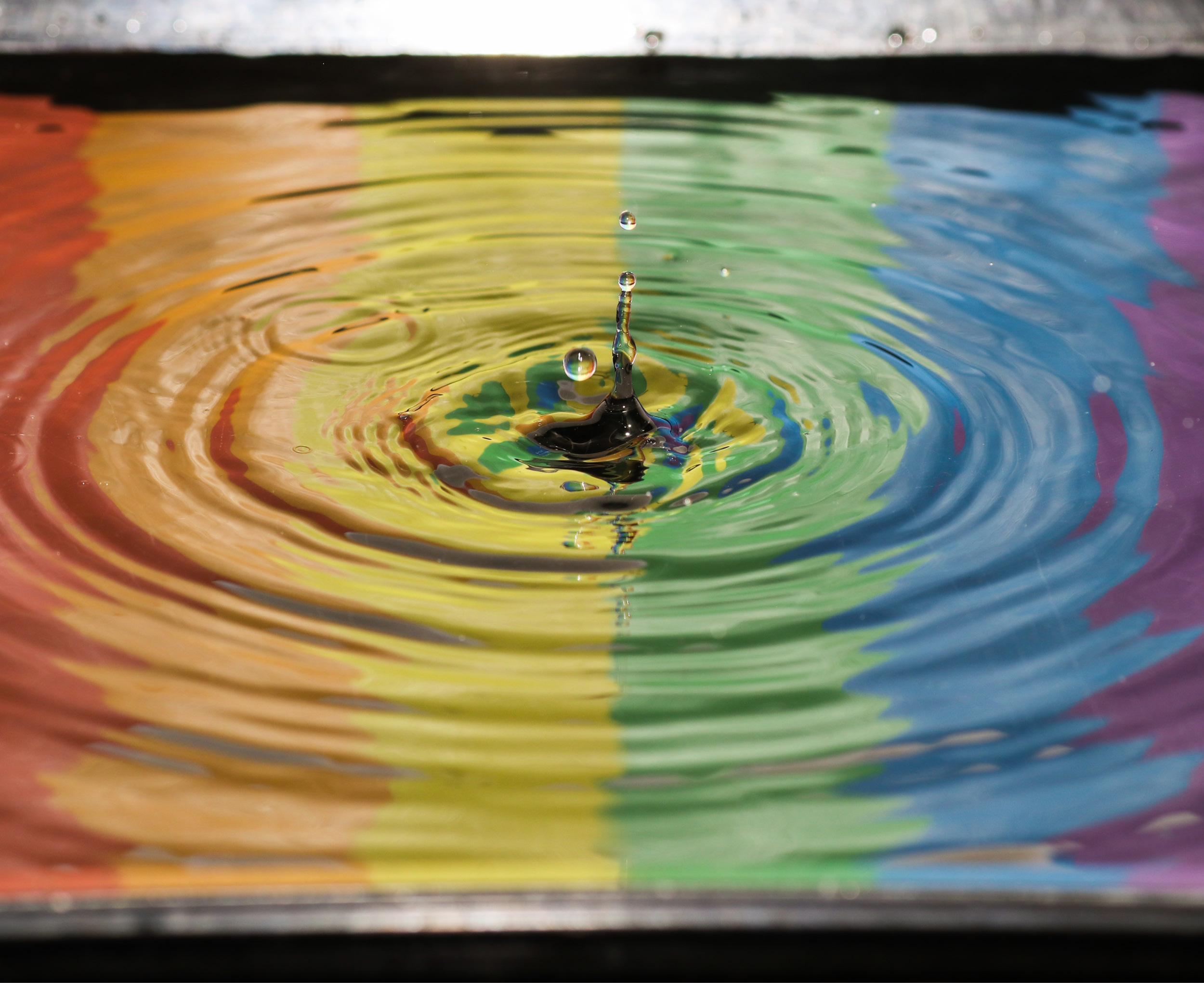 #널리널리퀴어나라 🌈