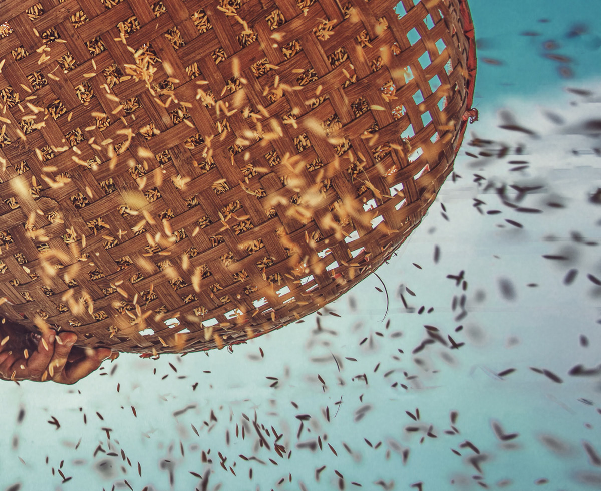 대통령: 이 법안 반댈세 ⛔