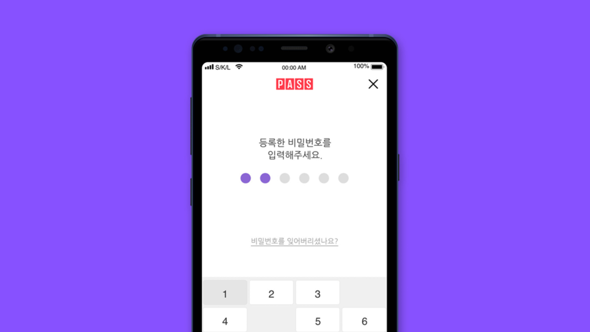 잘 해야 돼 지금, PASS 깔까? 🪪