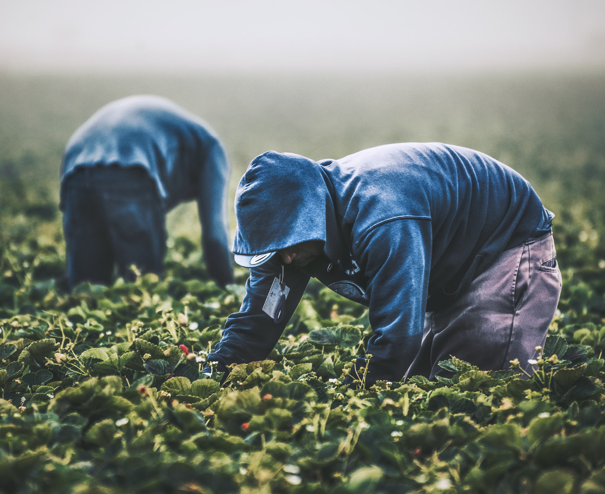 일자리는 있는데, 일할 사람이 없어요 ⛑️