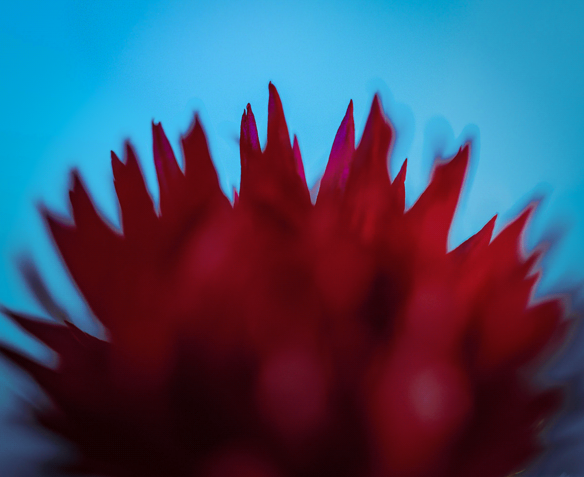 중국, 1달 새 6만 명 사망 🇨🇳