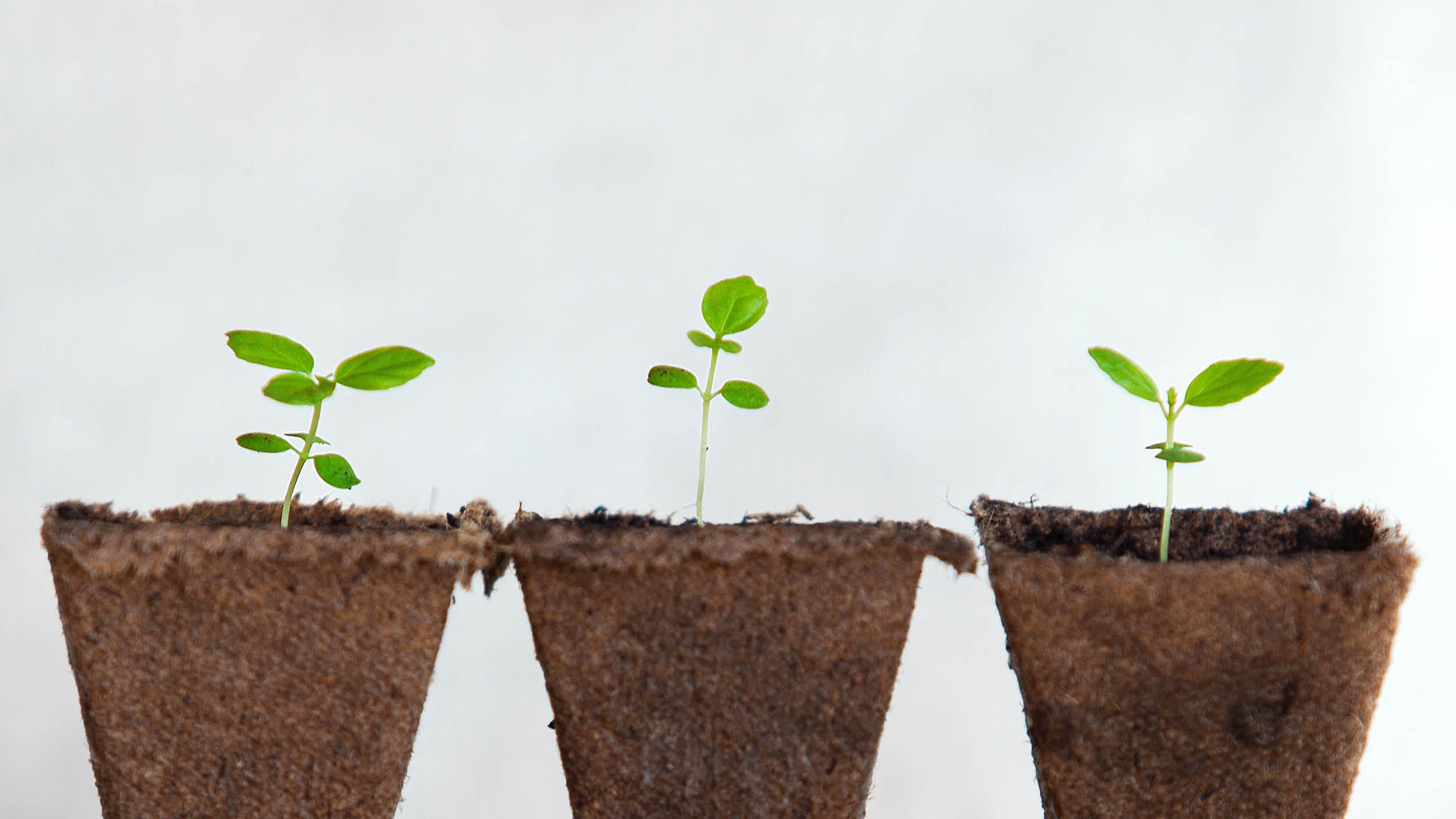 올해의 키워드는 ‘성장’ 🌱