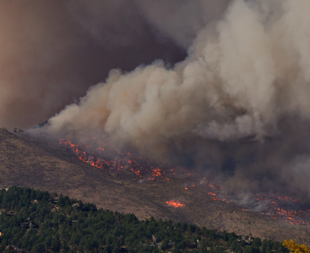이 산불의 이름은 기후위기 🔥