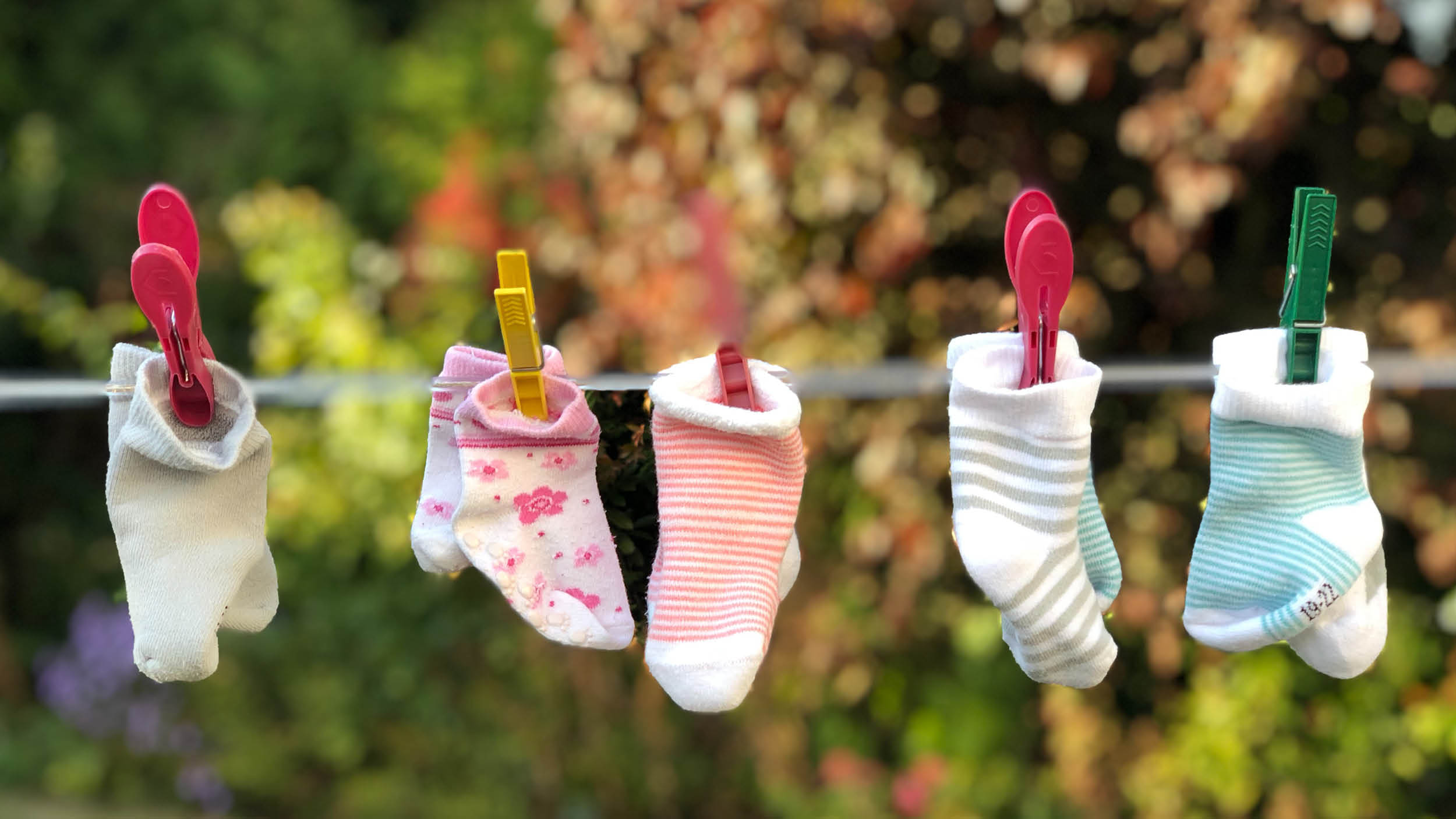 주부에게도 연금을! 💪