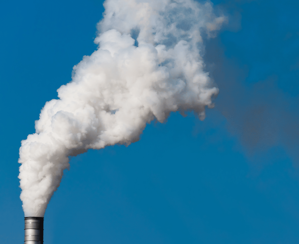 이산화탄소 배출, 아직 멀었다 🤔