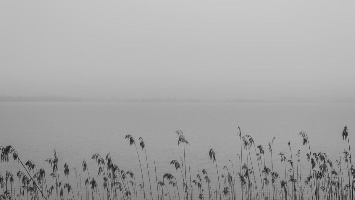 올겨울 색깔은 그레이 😷