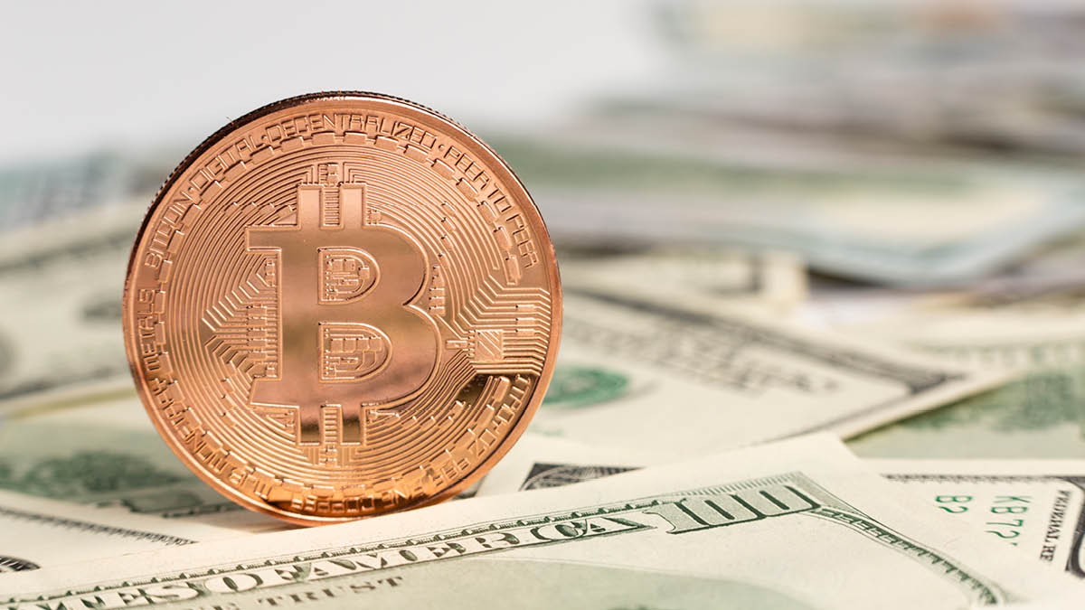 반으로 줄어든 비트코인 생산량 🪙