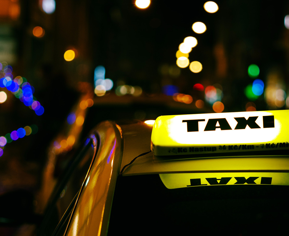 안 오르는 거 빼고 다 올라