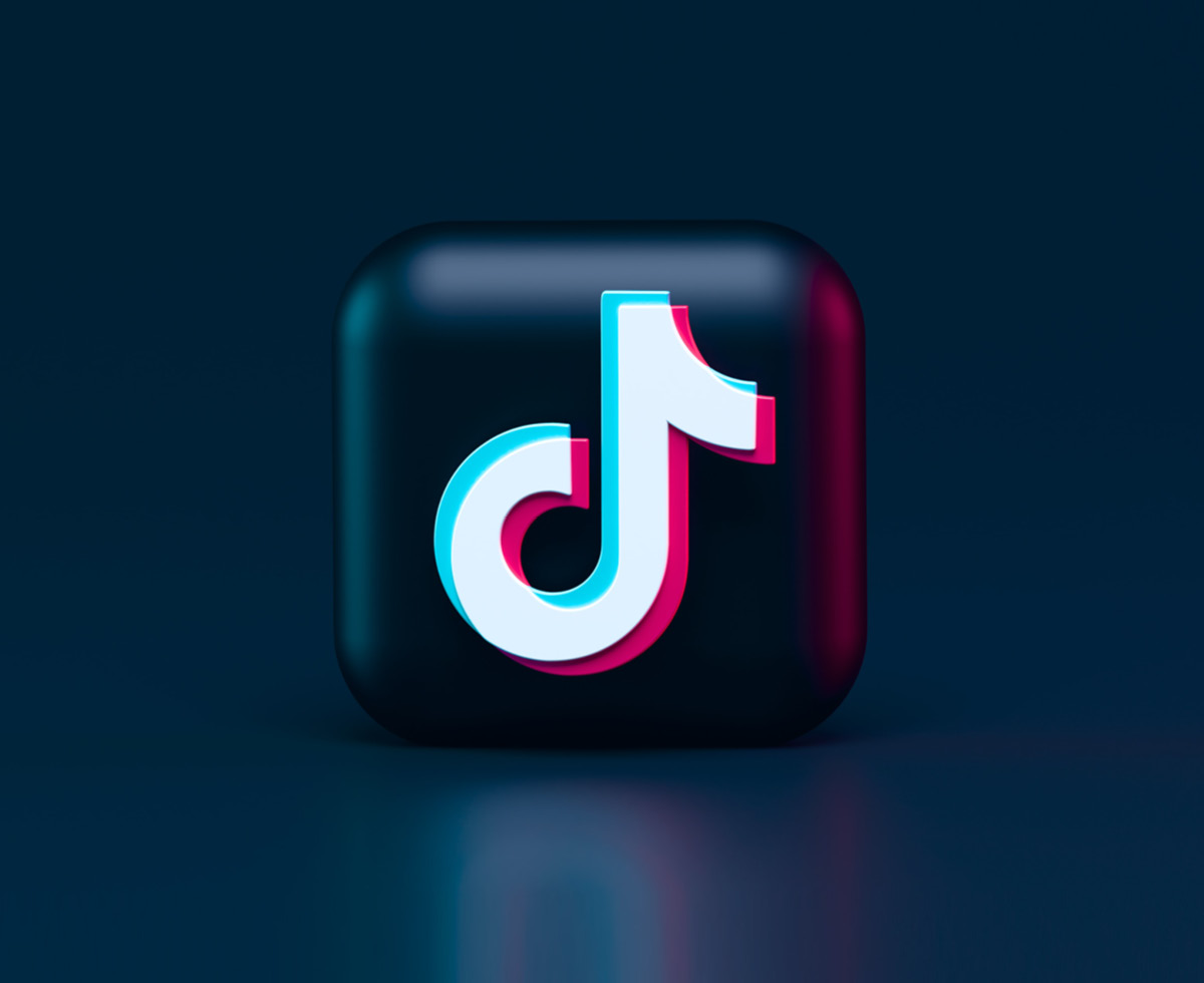 틱톡 쓰면 불법입니다