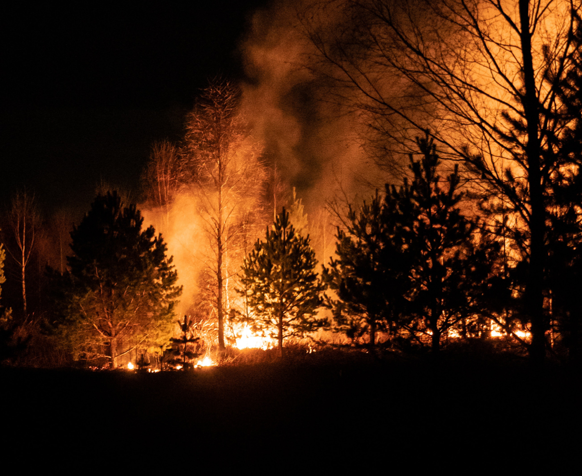 하와이 제도 산불 피해