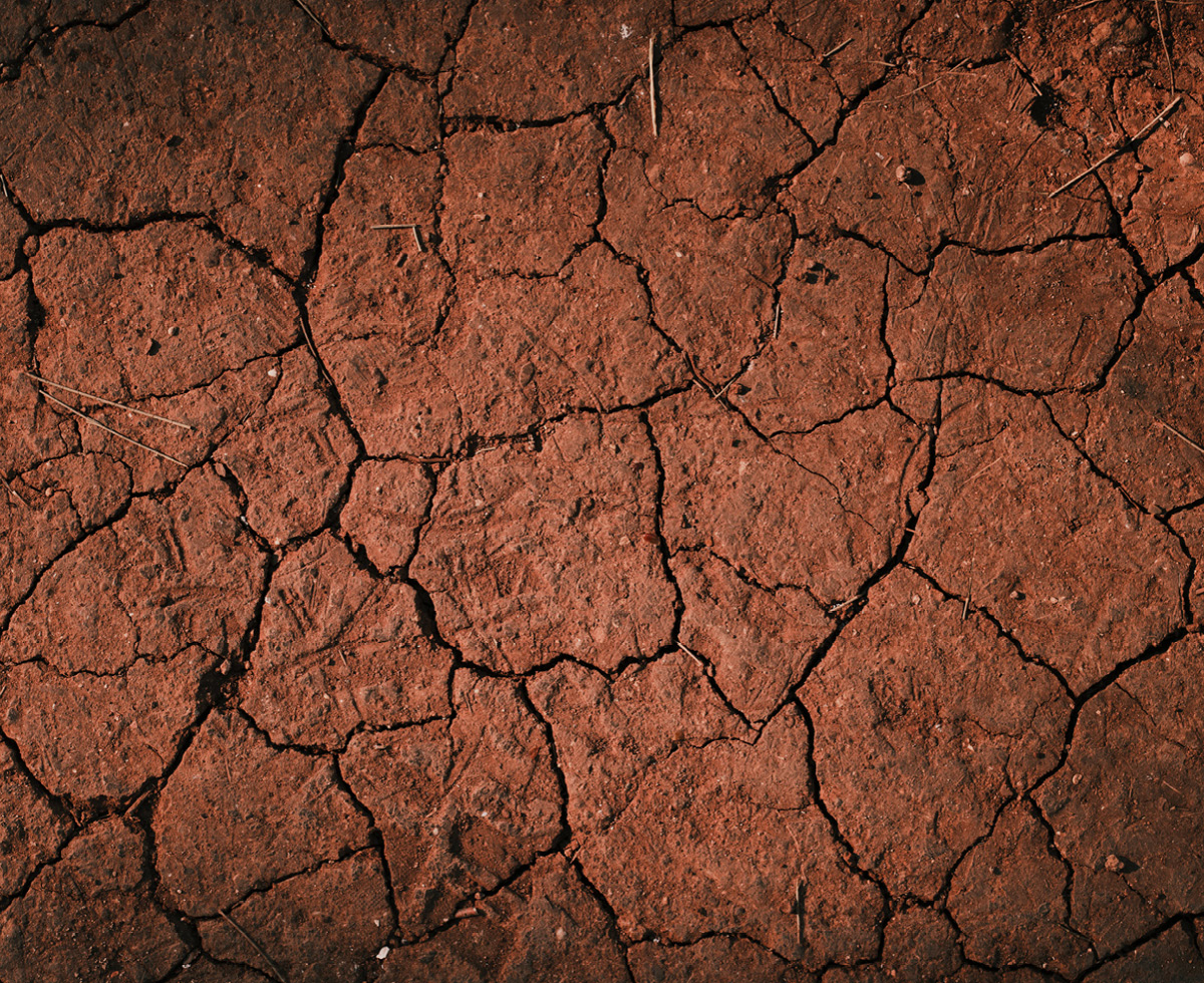 핫 써머, 핫핫 기후위기 🥵